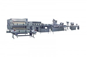 Online Exporter Vial Washer Machine - Glass Bottle IV Solution Production Line  – IVEN