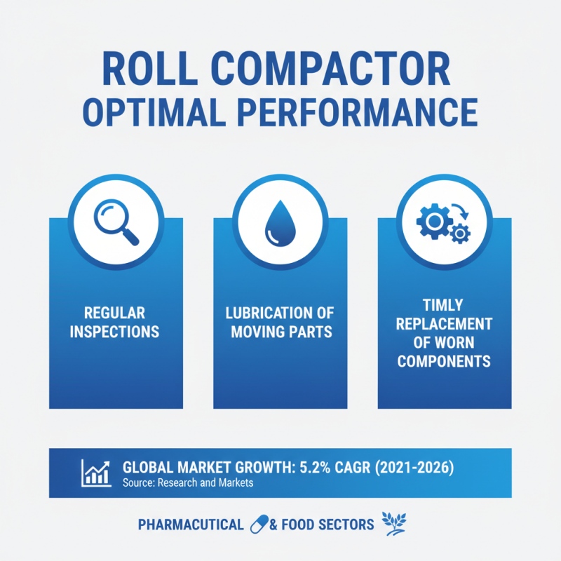 What is a Roll Compactor? Key Insights from Top Manufacturers