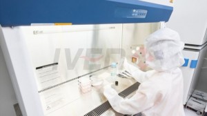 Cell Therapy Turnkey Project